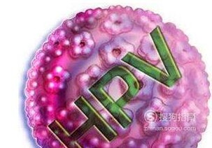 HPV疫苗的作用机理是什么