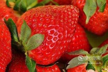 家庭阳台如何种草莓？