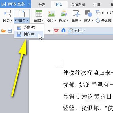 怎样在WPS文档中插入一页或多页横向页面