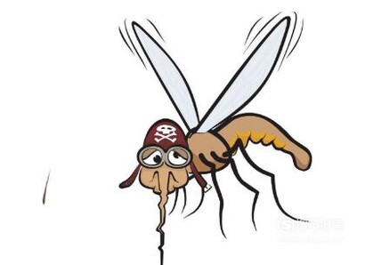 吸引蚊子的方法