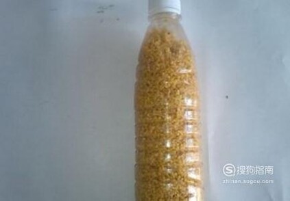 怎样储存能够有效防止小米生虫？