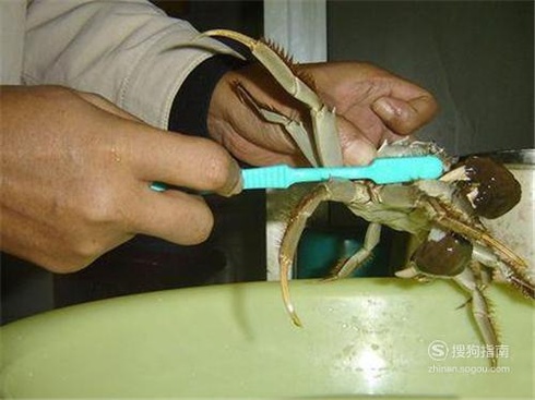 怎样清洗大闸蟹才能吃的放心