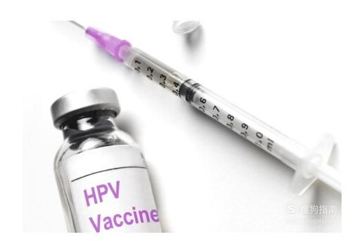HPV疫苗的作用机理是什么