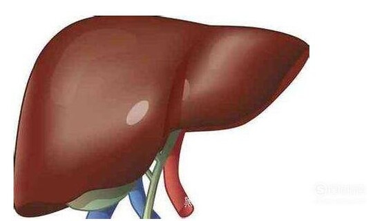 体检发现肝囊肿怎么办？