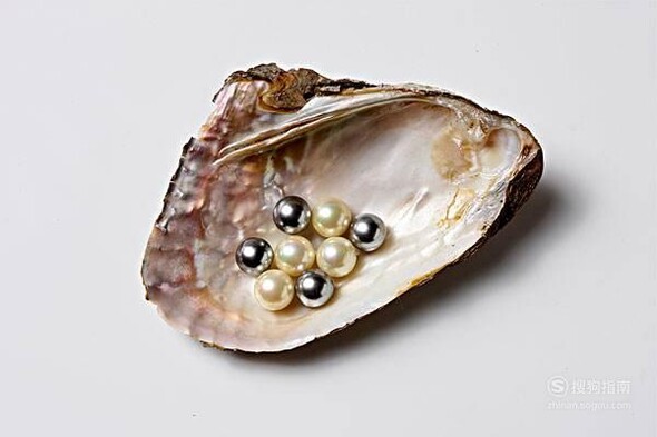 怎么看一个蚌里的珍珠是否值钱