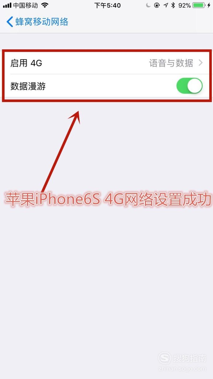 苹果iPhone6S 4G网络怎么设置