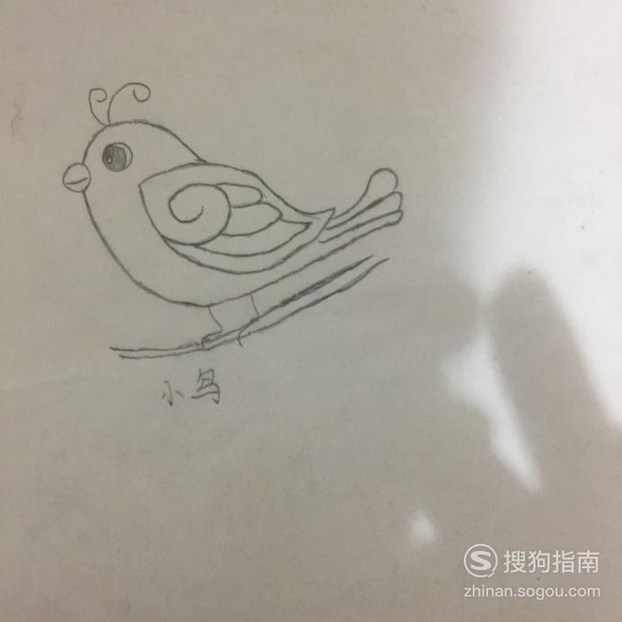 简易画——小鸟的另一种画法