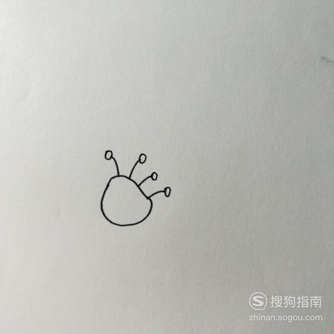 亲子活动——简单又好看的牡丹花儿童简笔画