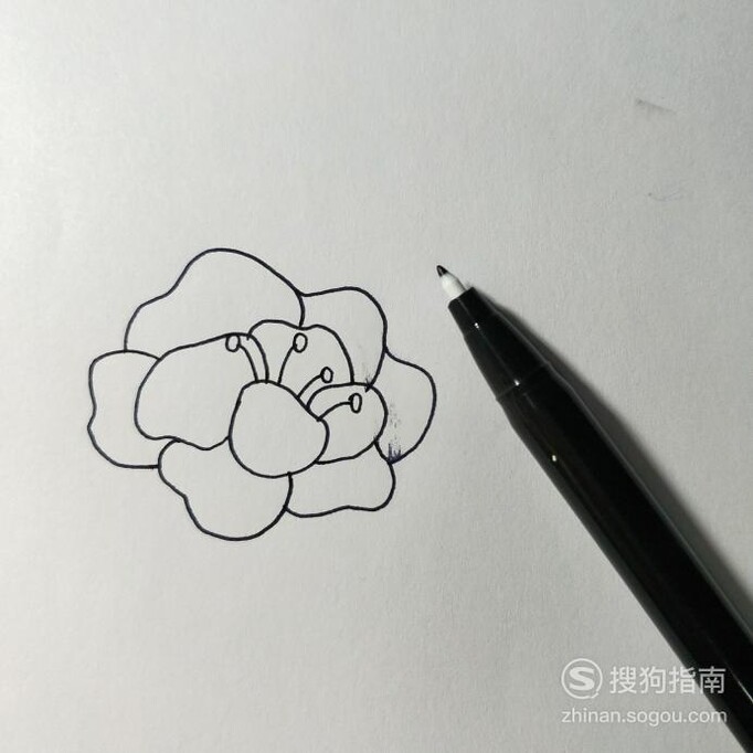 亲子活动——简单又好看的牡丹花儿童简笔画
