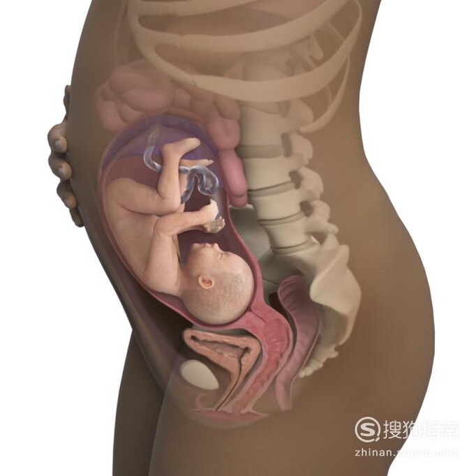 孕29周：胎儿和孕妈妈的最新变化，你知道吗