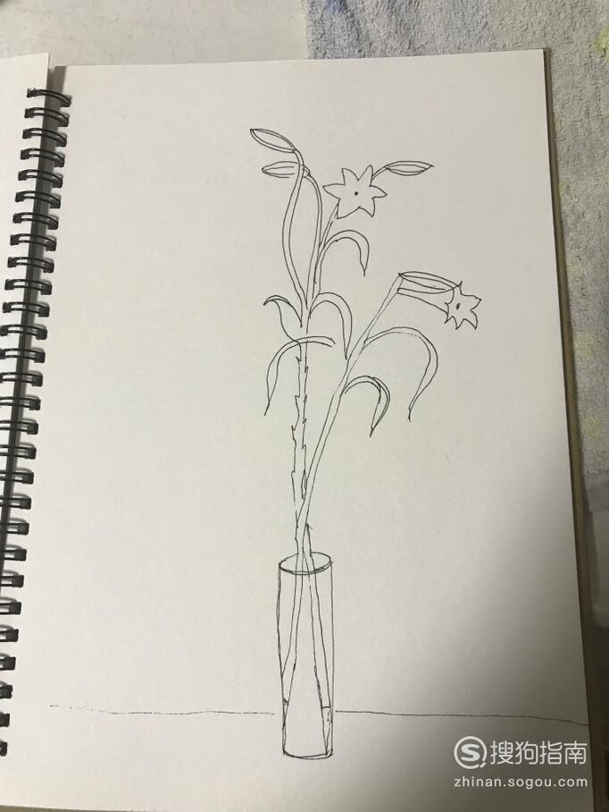 如何绘制一束插在瓶子里的花？