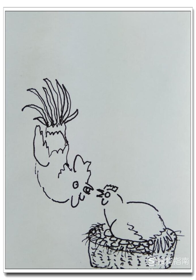 怎样用钢笔画母鸡孵化小鸡？