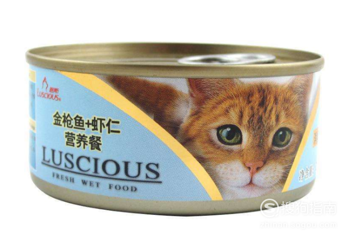 猫罐头怎么喂
